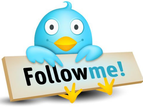 tweepi